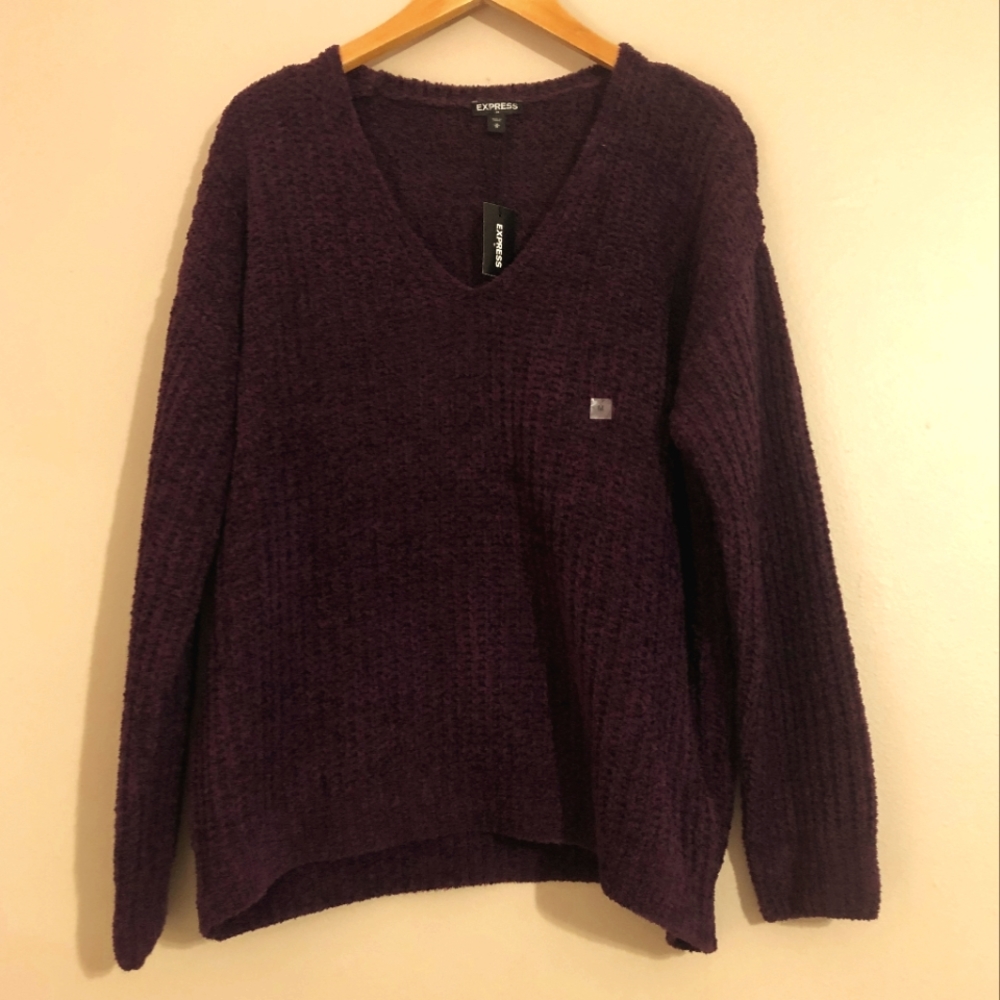 Express V Neck Sweater